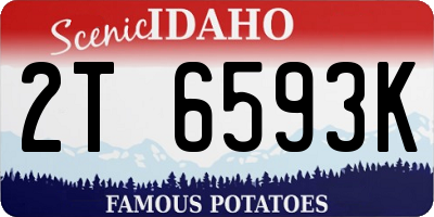 ID license plate 2T6593K