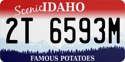 ID license plate 2T6593M