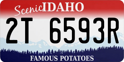 ID license plate 2T6593R