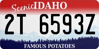ID license plate 2T6593Z