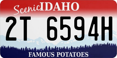 ID license plate 2T6594H