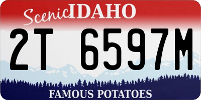 ID license plate 2T6597M