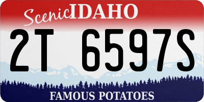 ID license plate 2T6597S