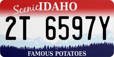 ID license plate 2T6597Y