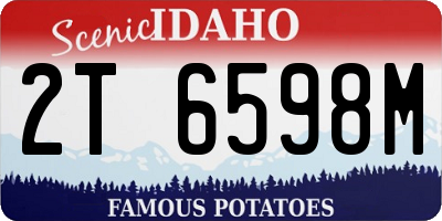 ID license plate 2T6598M