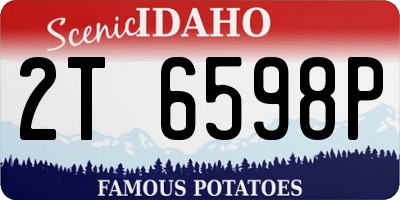 ID license plate 2T6598P