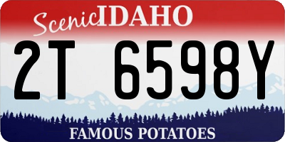 ID license plate 2T6598Y