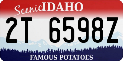 ID license plate 2T6598Z