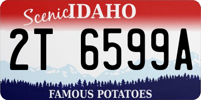 ID license plate 2T6599A