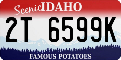 ID license plate 2T6599K