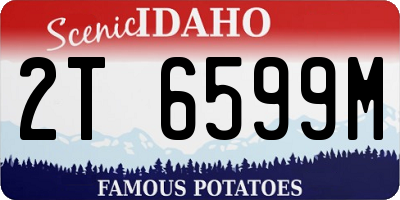 ID license plate 2T6599M