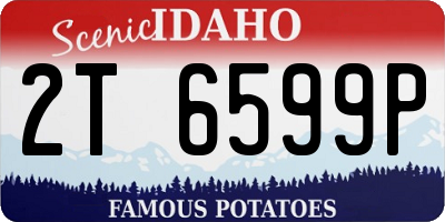 ID license plate 2T6599P