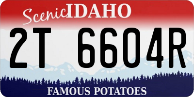 ID license plate 2T6604R