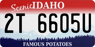 ID license plate 2T6605U