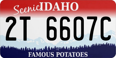 ID license plate 2T6607C