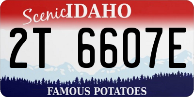 ID license plate 2T6607E