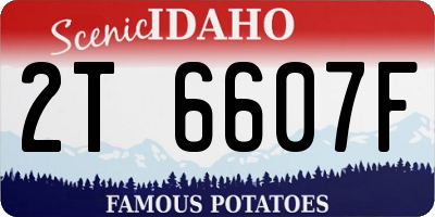 ID license plate 2T6607F