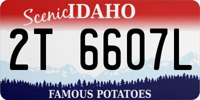 ID license plate 2T6607L
