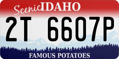 ID license plate 2T6607P
