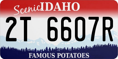 ID license plate 2T6607R