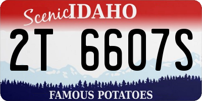 ID license plate 2T6607S