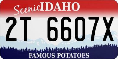 ID license plate 2T6607X