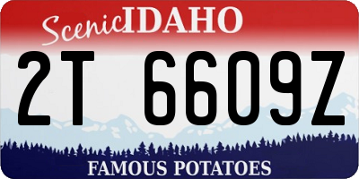 ID license plate 2T6609Z