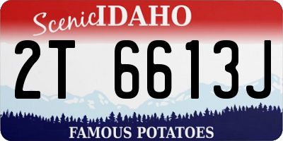 ID license plate 2T6613J