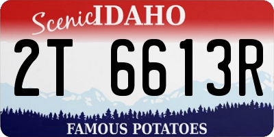 ID license plate 2T6613R