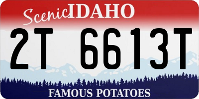 ID license plate 2T6613T