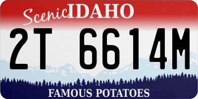ID license plate 2T6614M