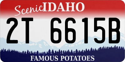 ID license plate 2T6615B