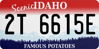 ID license plate 2T6615E