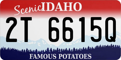 ID license plate 2T6615Q