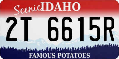ID license plate 2T6615R
