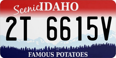 ID license plate 2T6615V