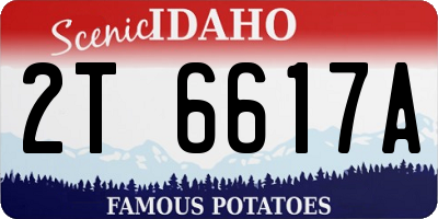 ID license plate 2T6617A