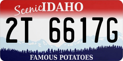 ID license plate 2T6617G