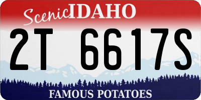 ID license plate 2T6617S