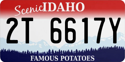 ID license plate 2T6617Y