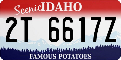 ID license plate 2T6617Z