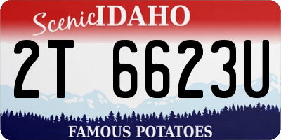 ID license plate 2T6623U