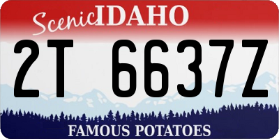 ID license plate 2T6637Z
