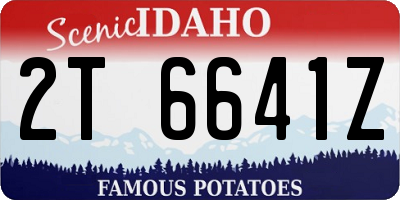 ID license plate 2T6641Z