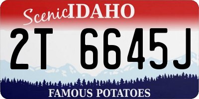 ID license plate 2T6645J