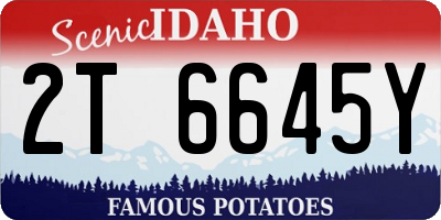 ID license plate 2T6645Y