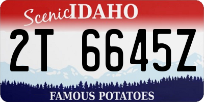 ID license plate 2T6645Z