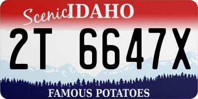 ID license plate 2T6647X