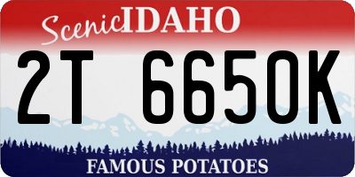 ID license plate 2T6650K