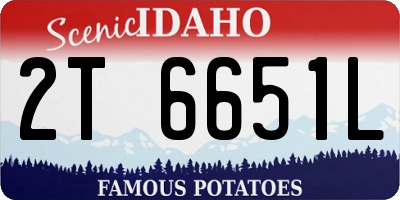 ID license plate 2T6651L